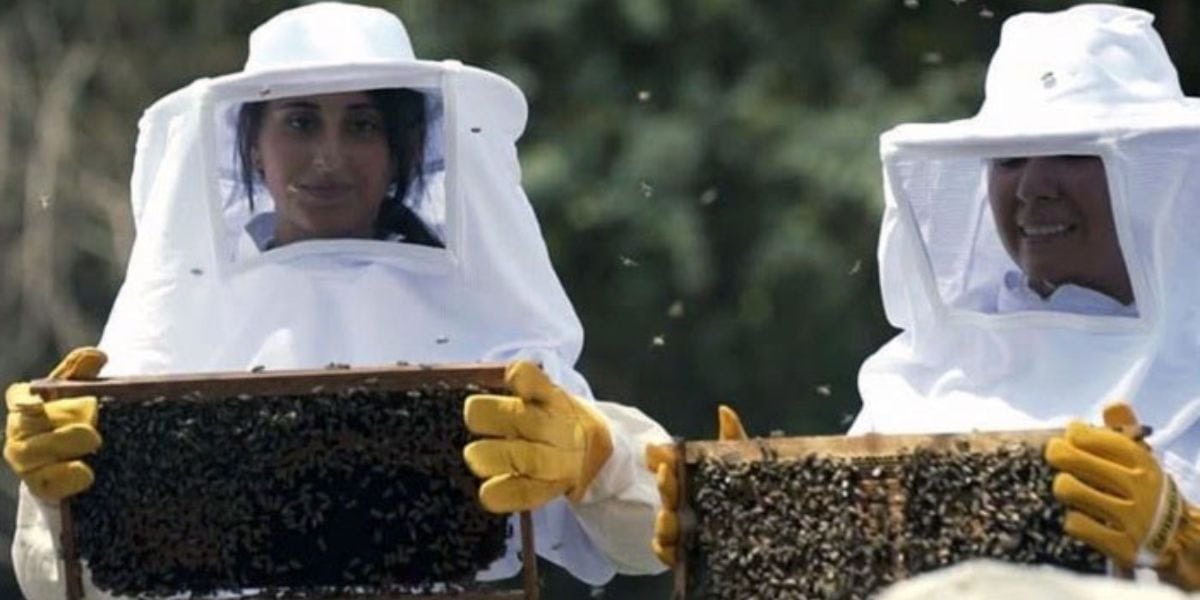 Kerry and Tanaz Assil focus on the fruits of their labor